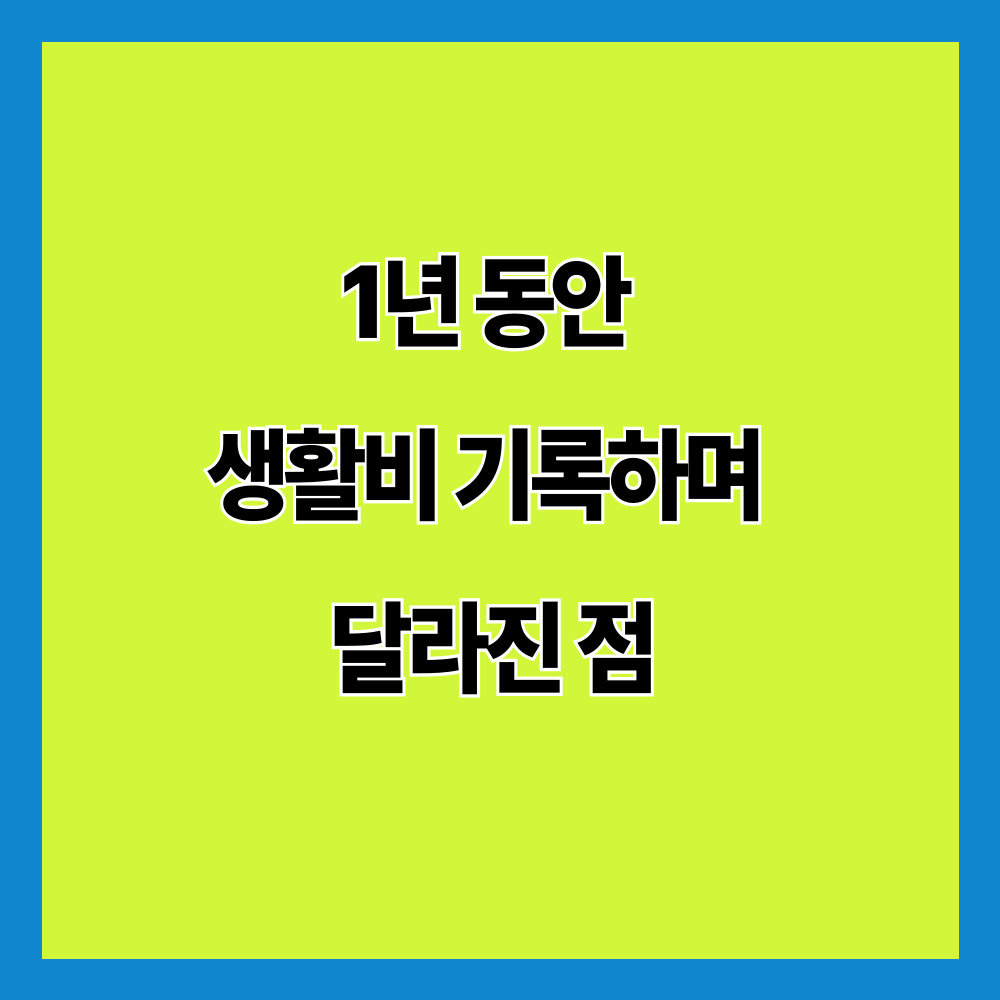 1년 동안 생활비 기록하며 달라진 점