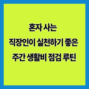 혼자 사는 직장인이 실천하기 좋은 주간 생활비 점검 루틴
