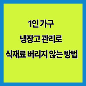 1인 가구 냉장고 관리로 식재료 버리지 않는 방법