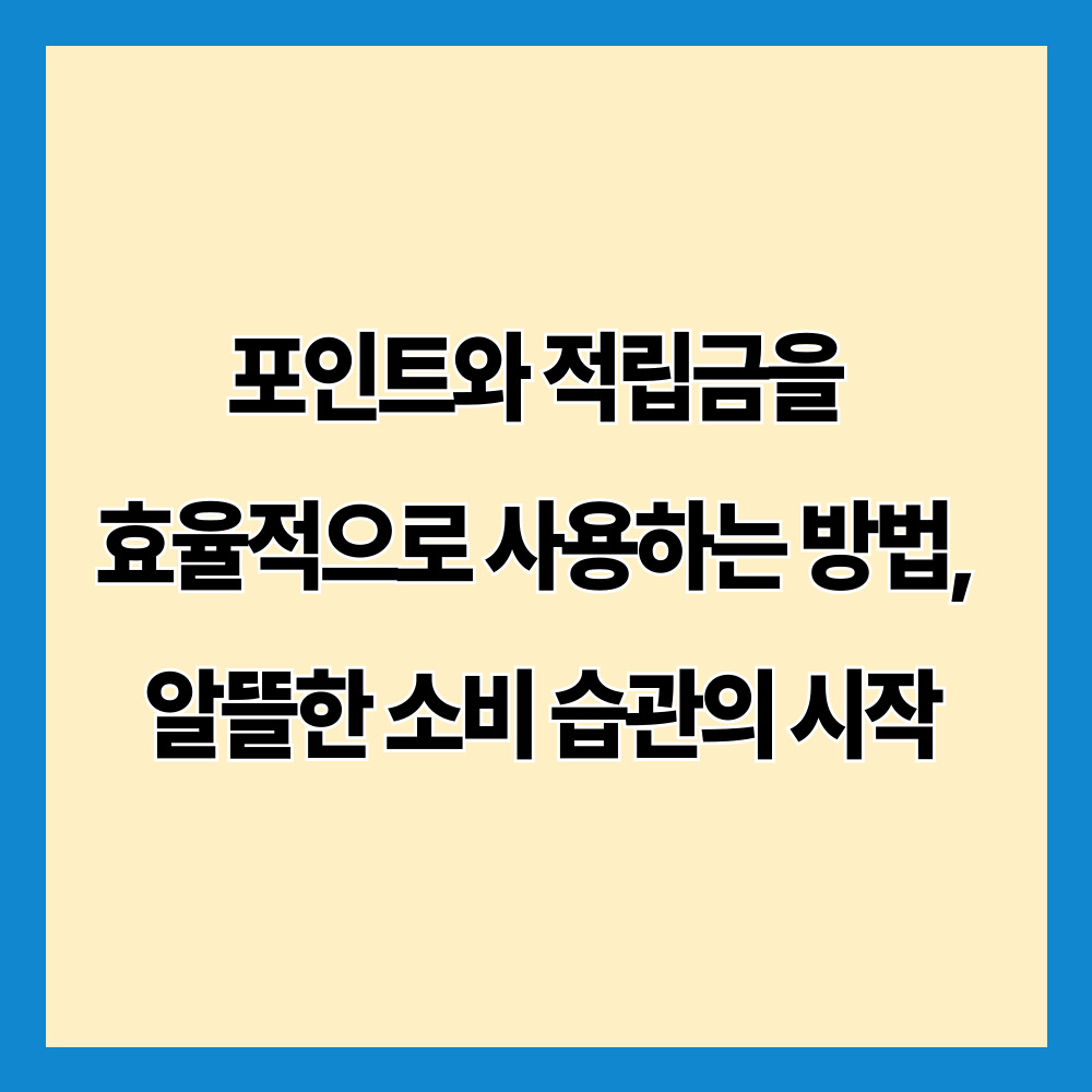 포인트와 적립금을 효율적으로 사용하는 방법, 알뜰한 소비 습관의 시작