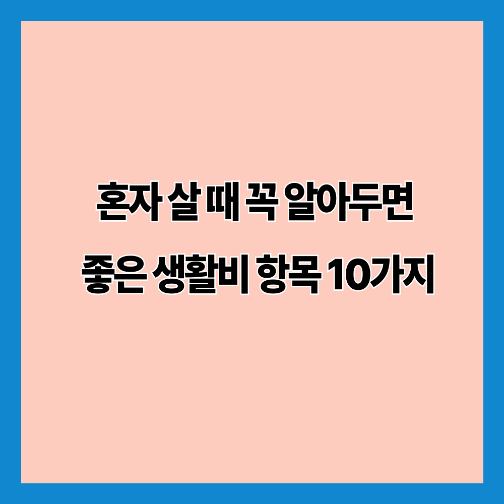 혼자 살 때 꼭 알아두면 좋은 생활비 항목 10가지