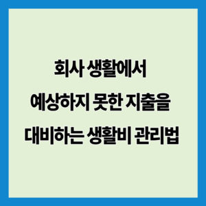 회사 생활에서 예상하지 못한 지출을 대비하는 생활비 관리법