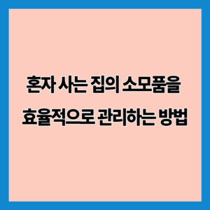 혼자 사는 집의 소모품을 효율적으로 관리하는 방법
