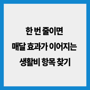 한 번 줄이면 매달 효과가 이어지는 생활비 항목 찾기